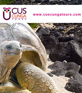 travel agency cuscunga tours travel galapagos